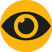 vision